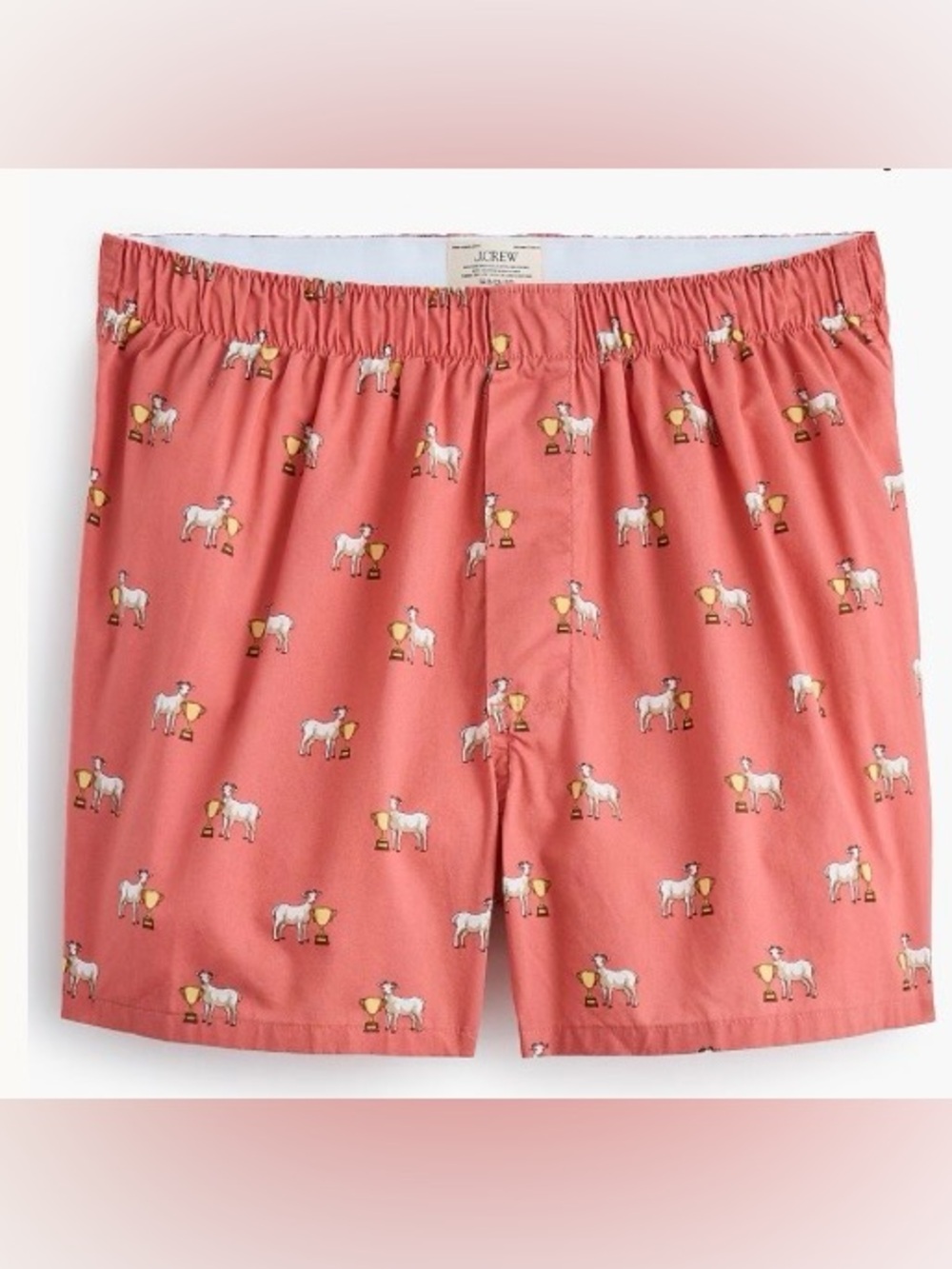 J. Crew Factory G.O.A.T. Woven Boxers